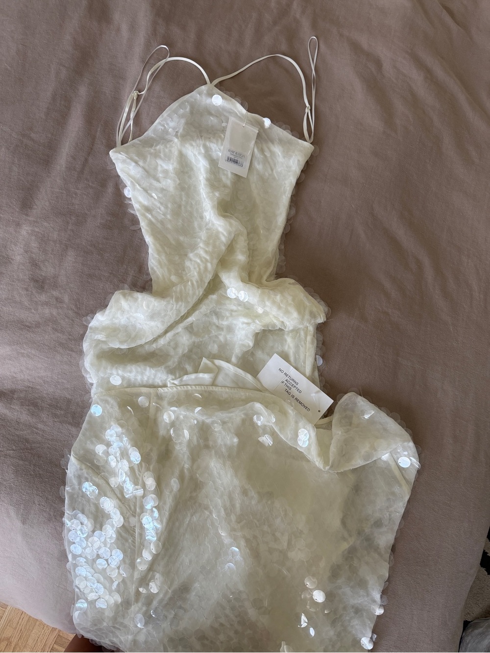 Rat & Boa Ivory Sequin Maxi Slip Dress with Crisscross Straps - Picture 3 of 3